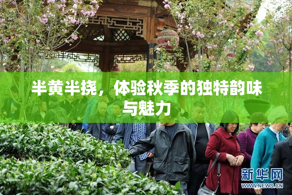 半黄半挠，体验秋季的独特韵味与魅力