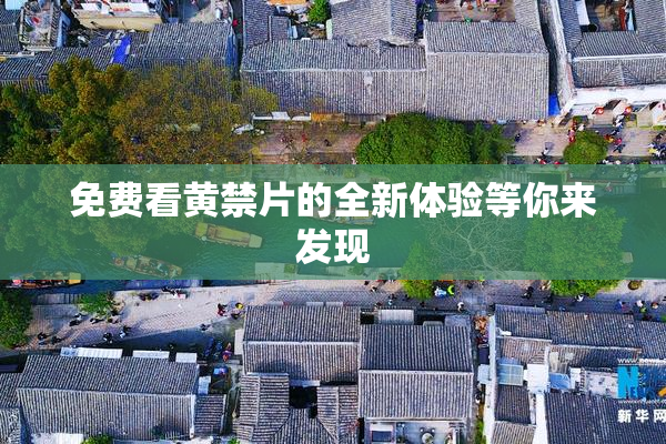 免费看黄禁片的全新体验等你来发现