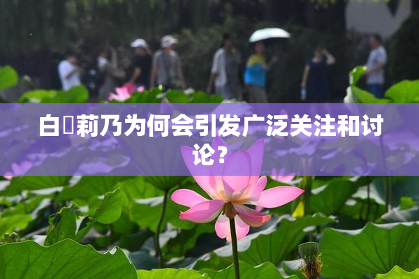 白咲莉乃为何会引发广泛关注和讨论？