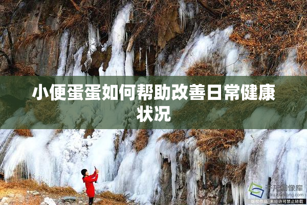 小便蛋蛋如何帮助改善日常健康状况