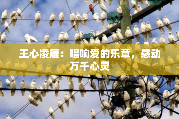 王心凌雁：唱响爱的乐章，感动万千心灵