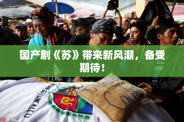 国产剧《苏》带来新风潮，备受期待！