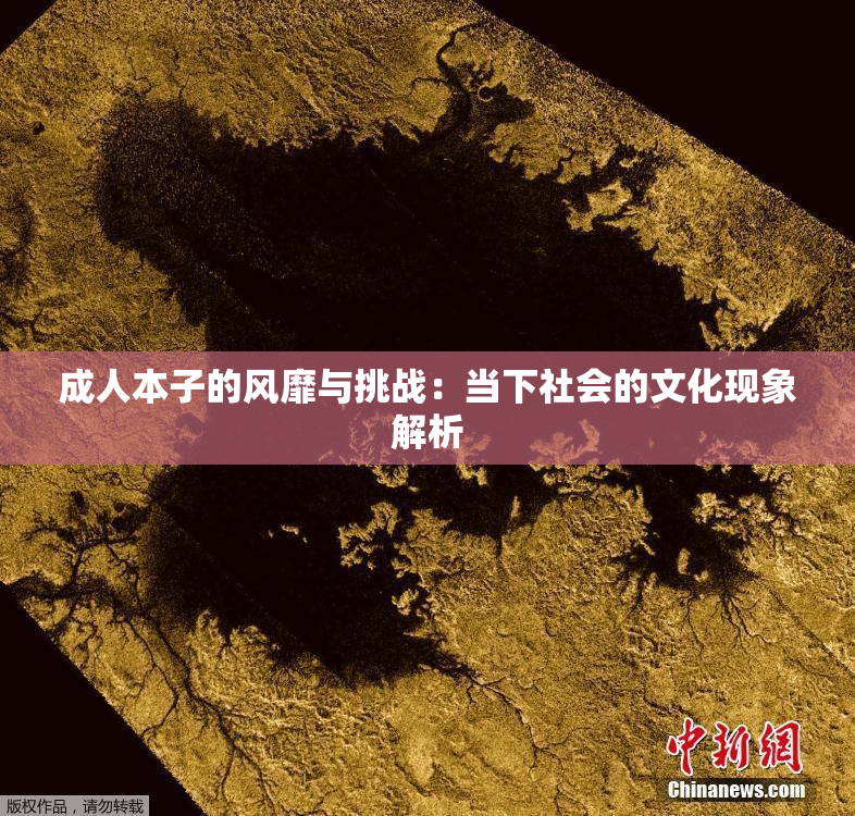 成人本子的风靡与挑战：当下社会的文化现象解析