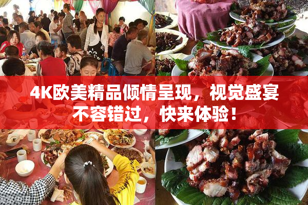 4K欧美精品倾情呈现，视觉盛宴不容错过，快来体验！