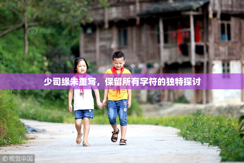 少司缘未重写，保留所有字符的独特探讨