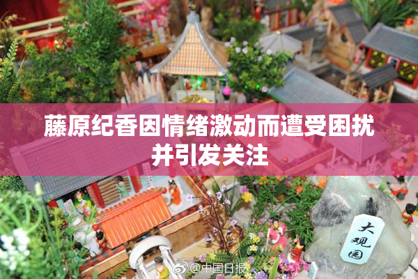 藤原纪香因情绪激动而遭受困扰并引发关注