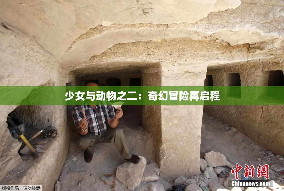 少女与动物之二：奇幻冒险再启程