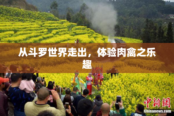 从斗罗世界走出，体验肉禽之乐趣