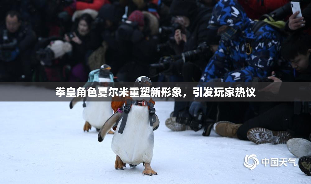 拳皇角色夏尔米重塑新形象，引发玩家热议