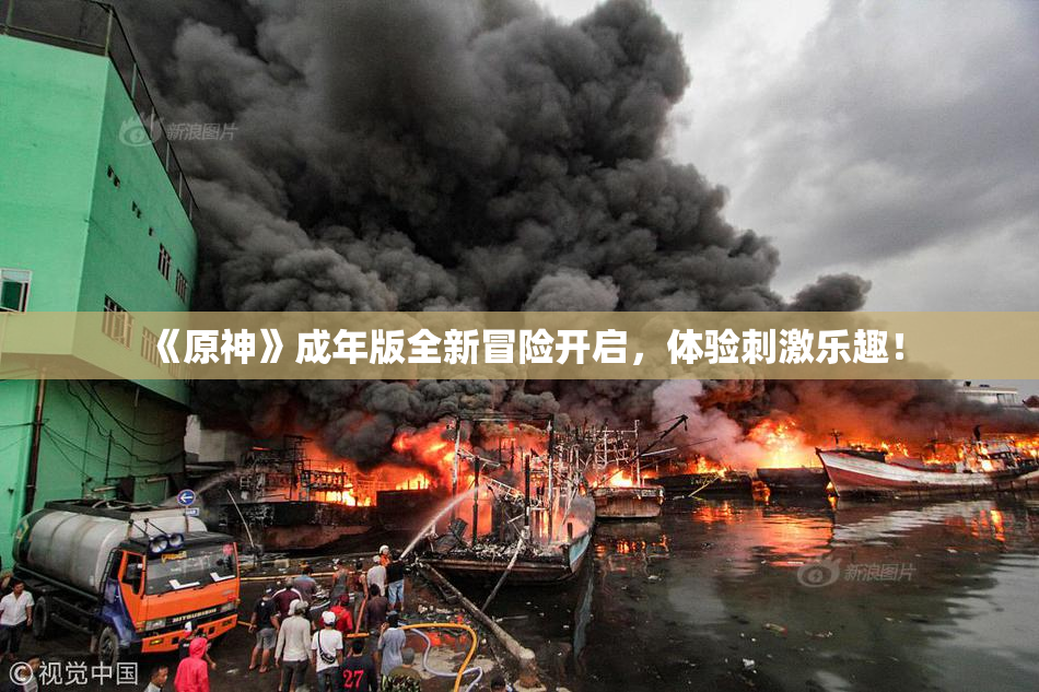 《原神》成年版全新冒险开启，体验刺激乐趣！