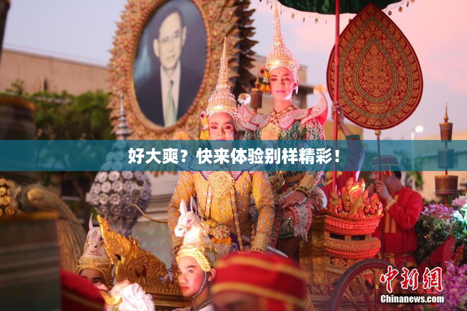好大爽？快来体验别样精彩！
