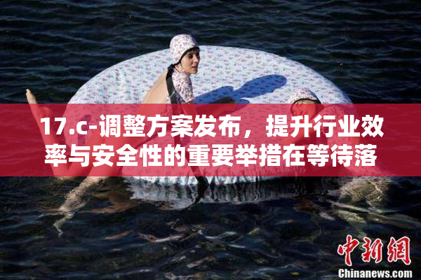 17.c-调整方案发布，提升行业效率与安全性的重要举措在等待落实。