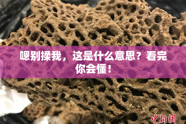 嗯别揉我，这是什么意思？看完你会懂！
