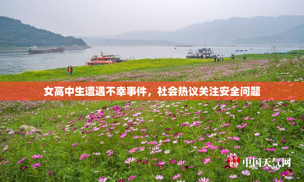 女高中生遭遇不幸事件，社会热议关注安全问题