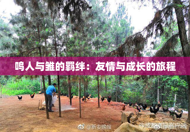 鸣人与雏的羁绊：友情与成长的旅程
