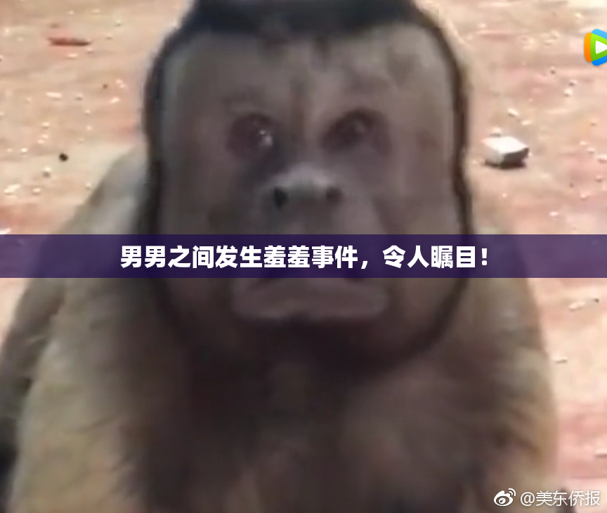 男男之间发生羞羞事件，令人瞩目！