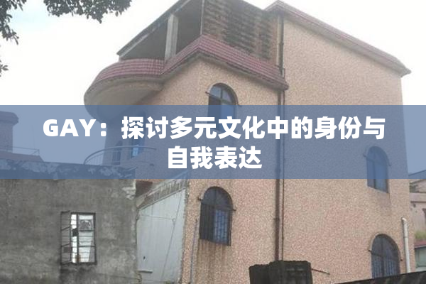 GAY：探讨多元文化中的身份与自我表达