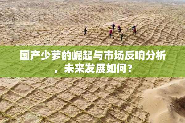 国产少萝的崛起与市场反响分析，未来发展如何？