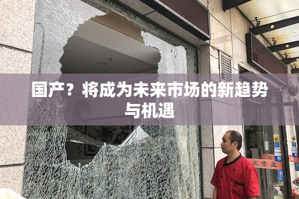 国产？将成为未来市场的新趋势与机遇
