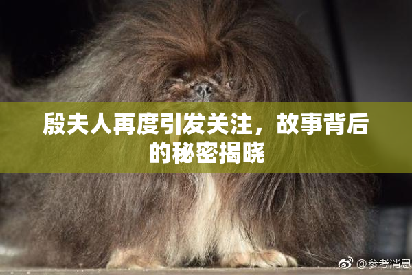 殷夫人再度引发关注，故事背后的秘密揭晓