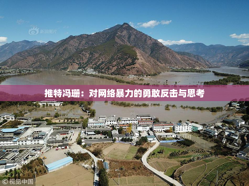 推特冯珊：对网络暴力的勇敢反击与思考