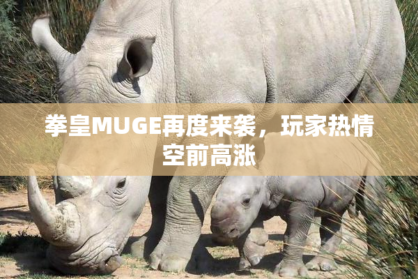 拳皇MUGE再度来袭，玩家热情空前高涨