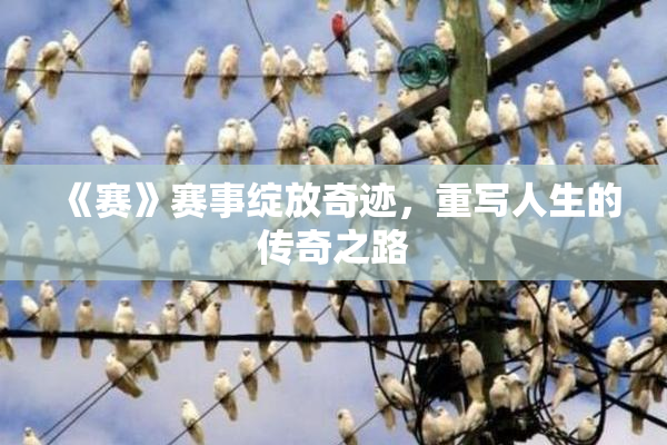 《赛》赛事绽放奇迹，重写人生的传奇之路