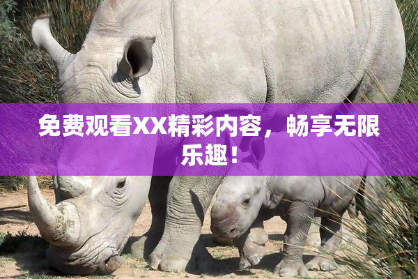 免费观看XX精彩内容，畅享无限乐趣！
