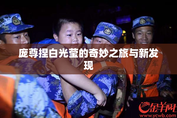 庞尊捏白光莹的奇妙之旅与新发现