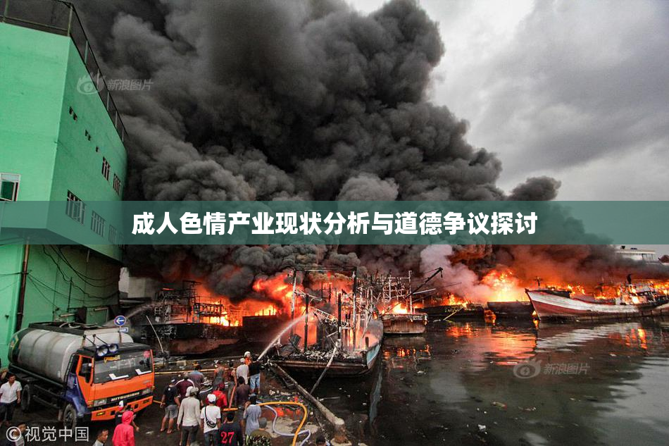 成人色情产业现状分析与道德争议探讨