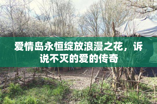 爱情岛永恒绽放浪漫之花，诉说不灭的爱的传奇