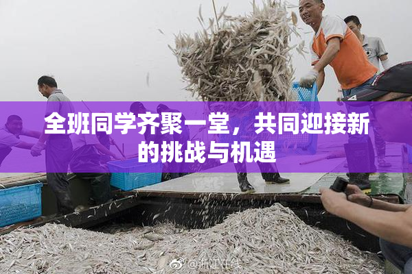 全班同学齐聚一堂，共同迎接新的挑战与机遇