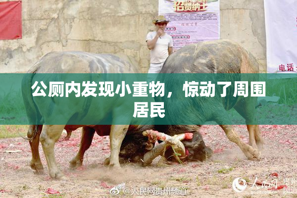 公厕内发现小重物，惊动了周围居民