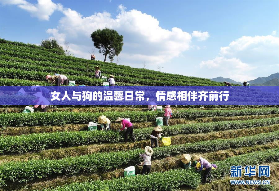 女人与狗的温馨日常，情感相伴齐前行