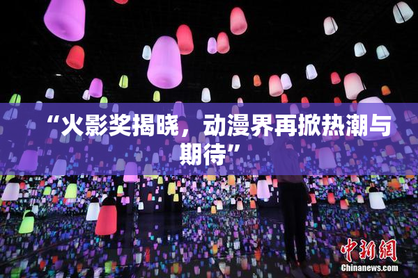 “火影奖揭晓，动漫界再掀热潮与期待”