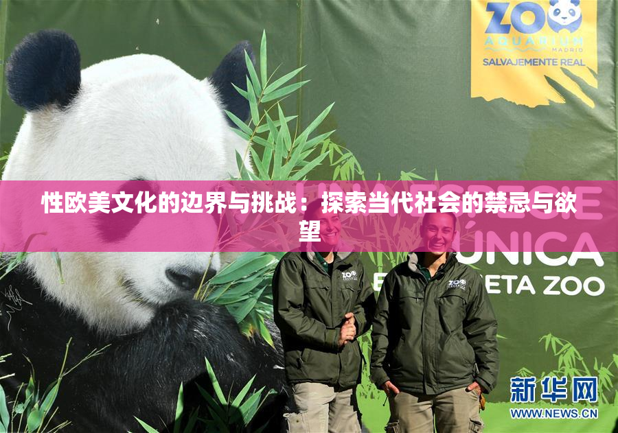 性欧美文化的边界与挑战：探索当代社会的禁忌与欲望