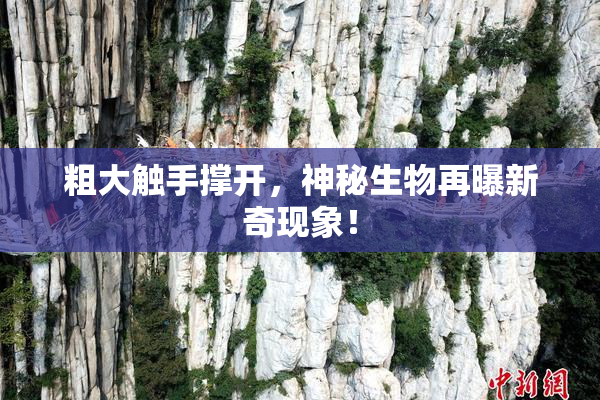 粗大触手撑开，神秘生物再曝新奇现象！