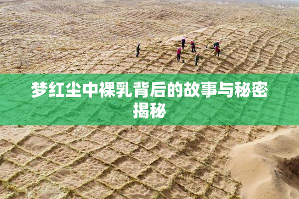梦红尘中裸乳背后的故事与秘密揭秘