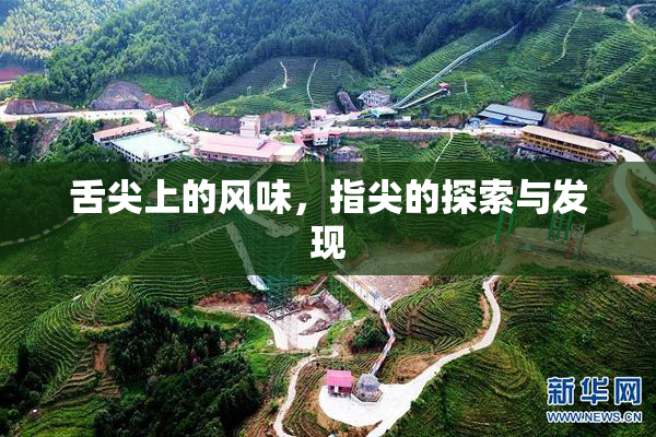 舌尖上的风味，指尖的探索与发现