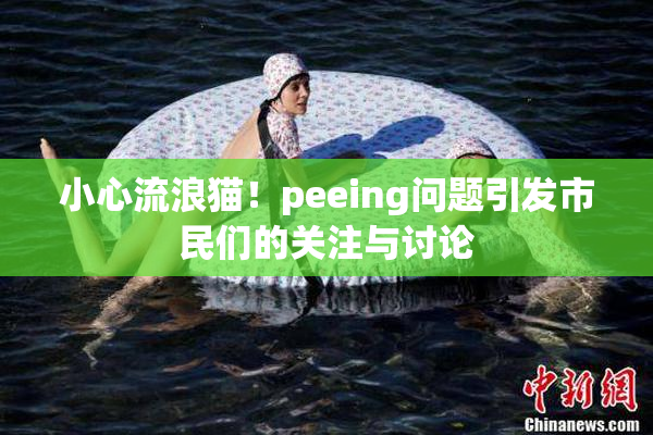 小心流浪猫！peeing问题引发市民们的关注与讨论