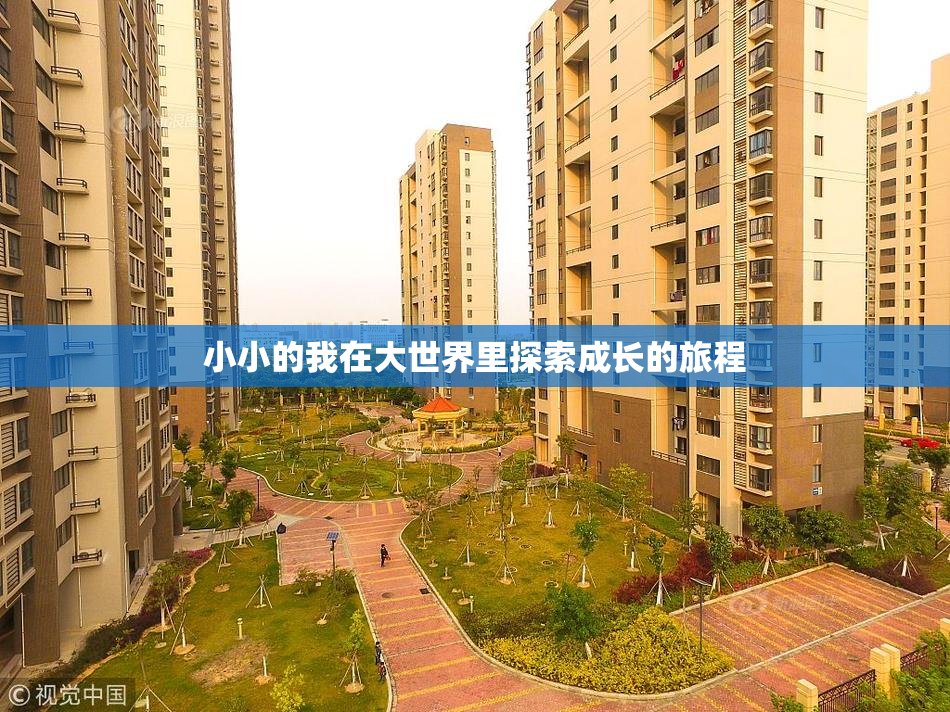 小小的我在大世界里探索成长的旅程