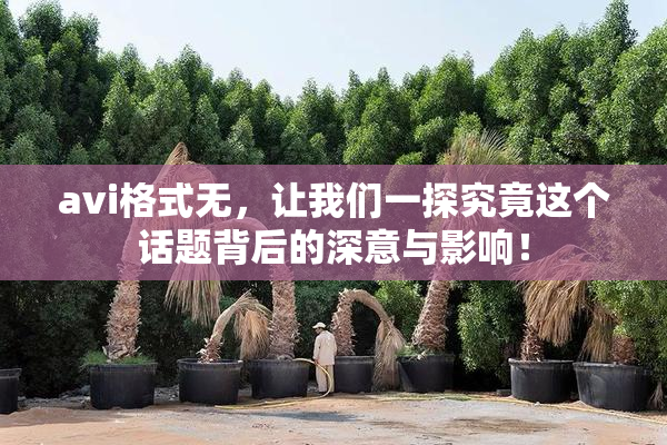 avi格式无，让我们一探究竟这个话题背后的深意与影响！