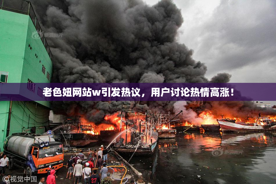 老色妞网站w引发热议，用户讨论热情高涨！