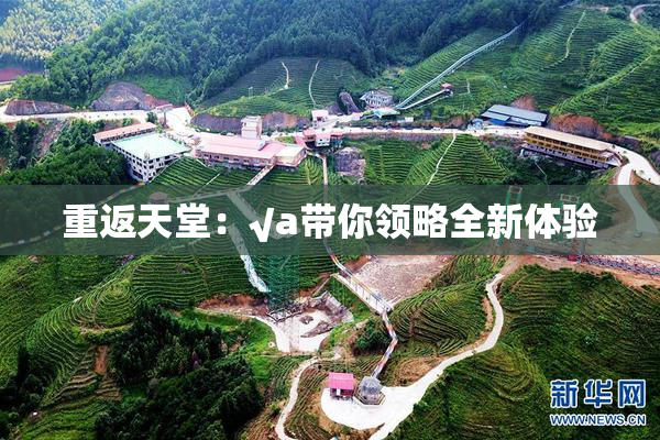 重返天堂：√a带你领略全新体验