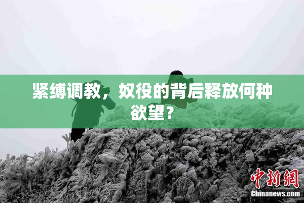 紧缚调教，奴役的背后释放何种欲望？