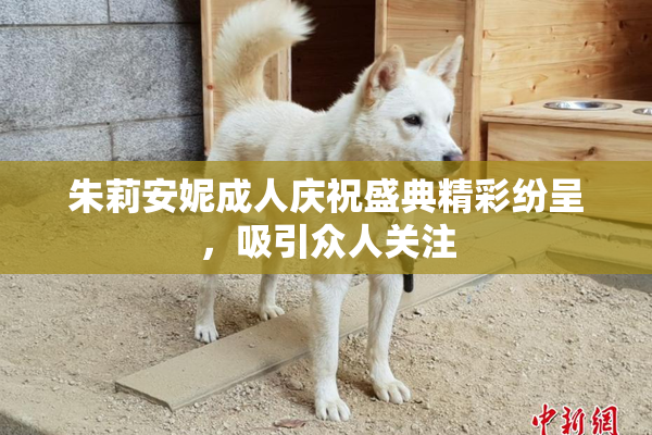 朱莉安妮成人庆祝盛典精彩纷呈，吸引众人关注