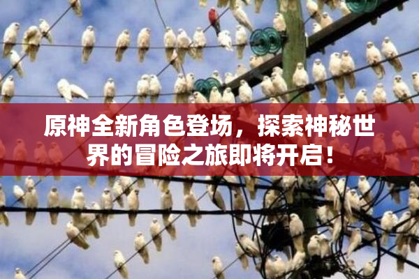 原神全新角色登场，探索神秘世界的冒险之旅即将开启！