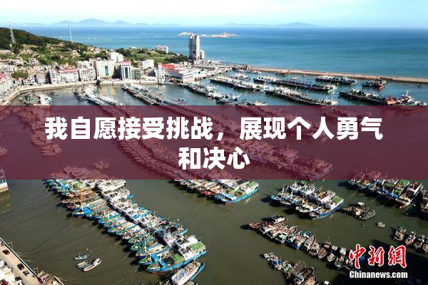 我自愿接受挑战，展现个人勇气和决心