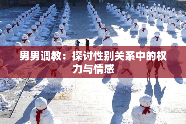 男男调教：探讨性别关系中的权力与情感