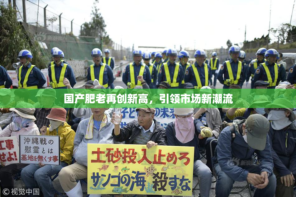 国产肥老再创新高，引领市场新潮流